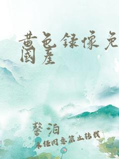 黄色录像免费看国产