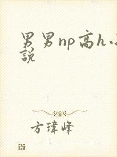 男男np高h小说