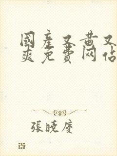 国产又黄又湿又爽免费网站