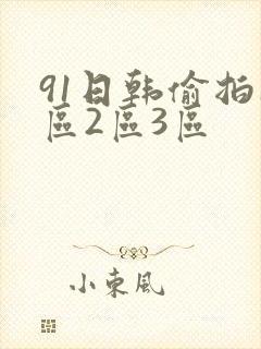 91日韩偷拍1区2区3区