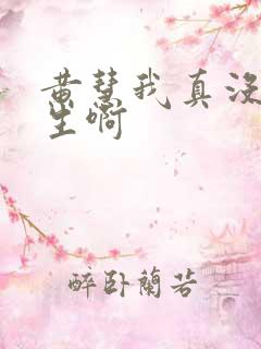 黄慧我真没想重生啊