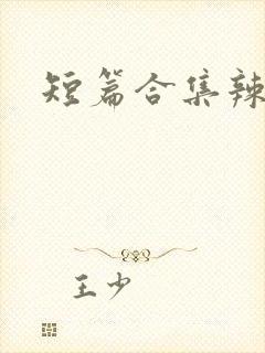 短篇合集辣文h