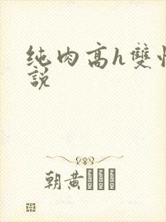 纯肉高h双性小说