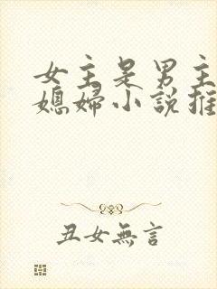 女主是男主的弟媳妇小说推荐