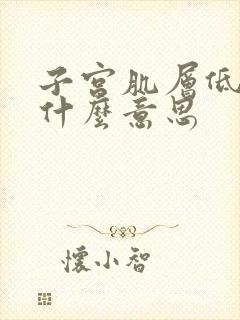 子宫肌层低回声什么意思