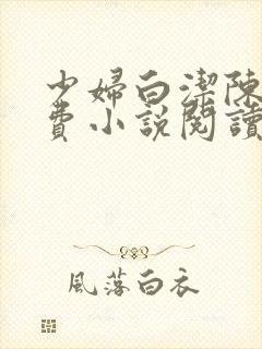 少妇白洁陈三免费小说阅读