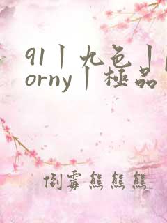 91丨九色丨porny丨极品