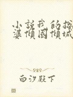 小说我的总裁老婆倾国倾城在线阅读