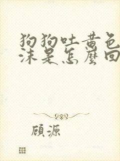 狗狗吐黄色的泡沫是怎么回事