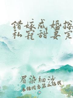 错嫁成婚总裁的私宠甜妻完整版