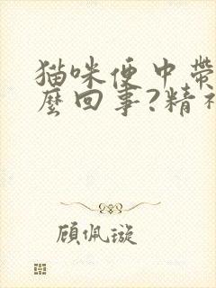 猫咪便中带血怎么回事?精神很好