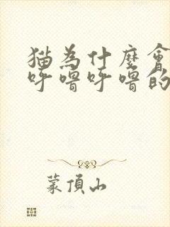 猫为什么会发出呼噜呼噜的声音然后还舔人