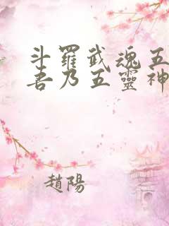 斗罗武魂五灵锁吾乃五灵神王免费阅读