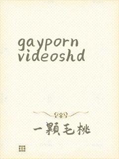 gaypornvideoshd