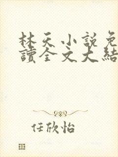 林天小说免费阅读全文大结局
