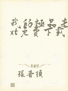 我的极品老婆txt免费下载