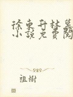 徐东升林慕婉的小说免费阅读无弹窗