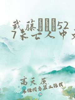 武藤あやか527未亡人中文字幕
