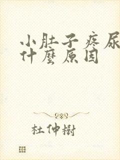 小肚子疼尿多是什么原因