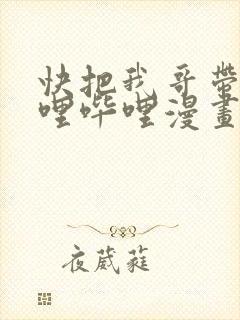 快把我哥带走哔哩哔哩漫画