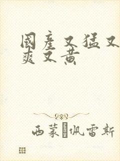 国产又猛又粗又爽又黄