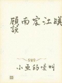 顾南宸江映棠小说