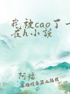 我被cao了一夜h小说