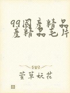 99国产精品国产精品毛片