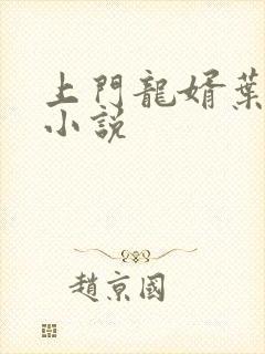 上门龙婿叶凡 小说