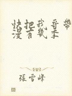 快把我哥带走动漫有几季