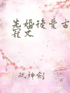 先婚后爱古言甜宠文