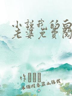 小说我的白富美老婆免费阅读