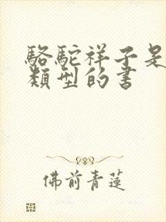 骆驼祥子是什么类型的书