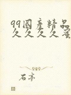 99国产精品久久久久久蜜月