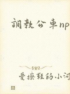 调教公车nph