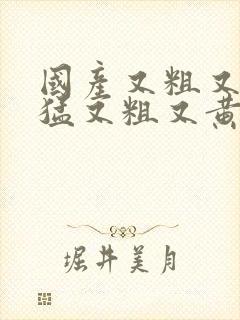 国产又粗又爽又猛又粗又黄的视频