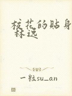 校花的贴身高手 林逸