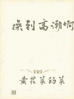 操到高潮啊啊啊