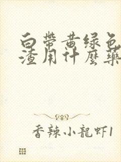 白带黄绿色豆腐渣用什么药