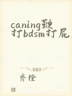 caning鞭打bdsm打屁股视频