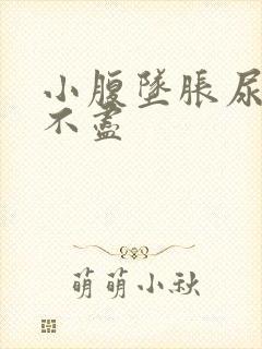 小腹坠胀尿频尿不尽