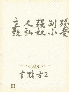 主人强制残忍调教私奴小受视频