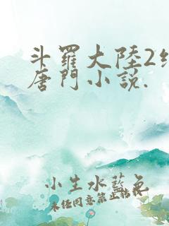 斗罗大陆2绝世唐门小说.