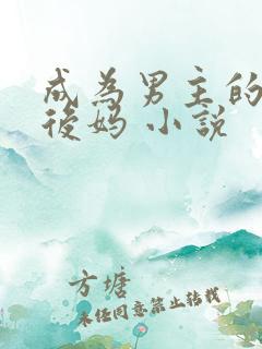 成为男主的反派后妈 小说