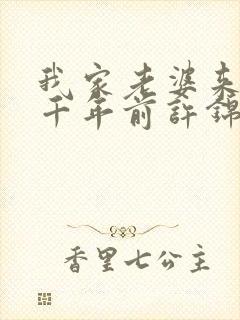 我家老婆来自一千年前许锦