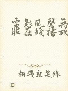 电影风声无删减版在线播放