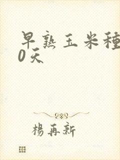 早熟玉米种子80天