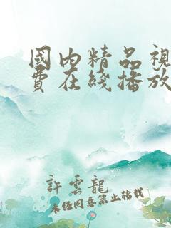 国内精品视频免费在线播放