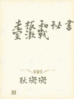 老板和秘书办公室激战