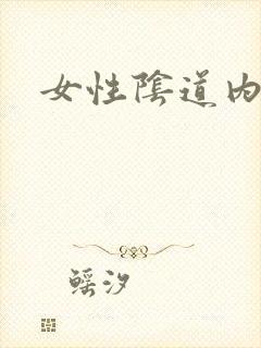 女性阴道内部图